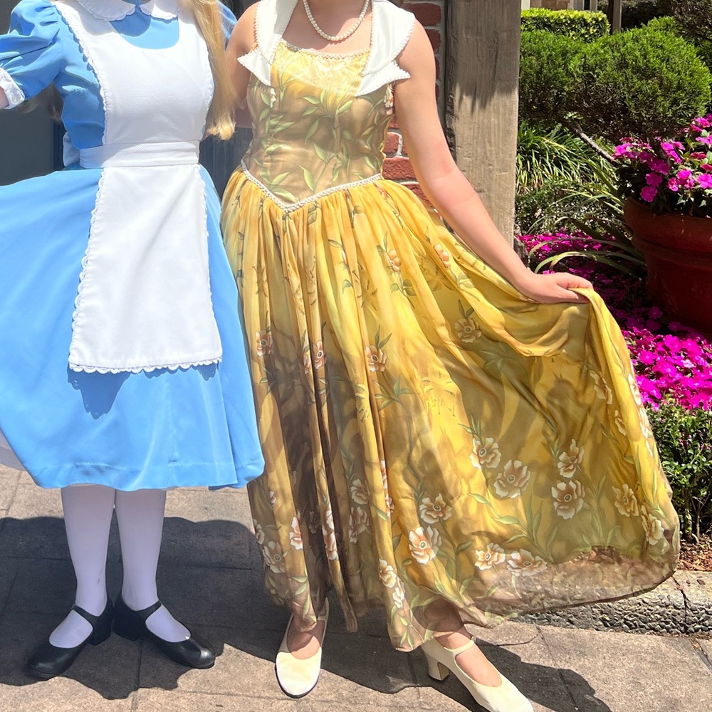 Vintage ball room dancing dress